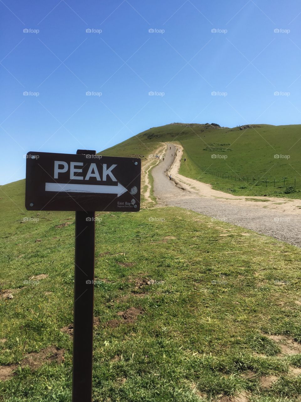 In case it wasn't obvious.... Mission Peak Hiking