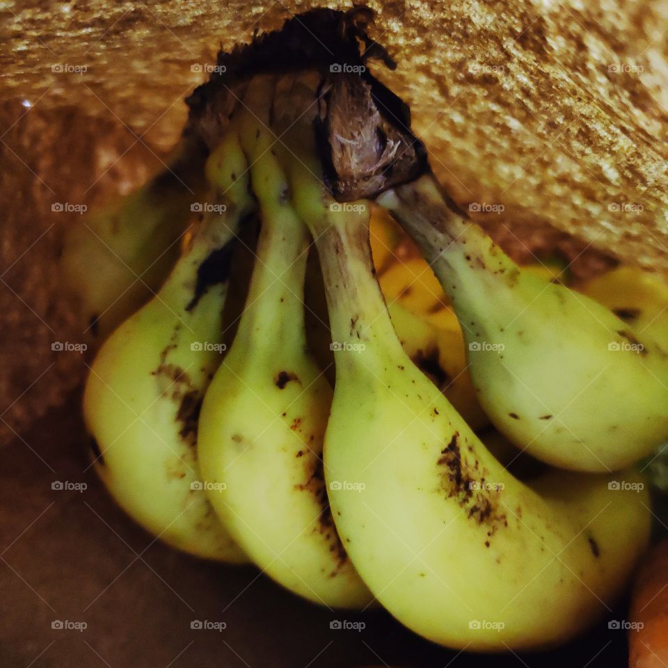 Healthy and Nutritious half riped greenish-yellow Bananas in a Paper cover - Say No to plastics covers