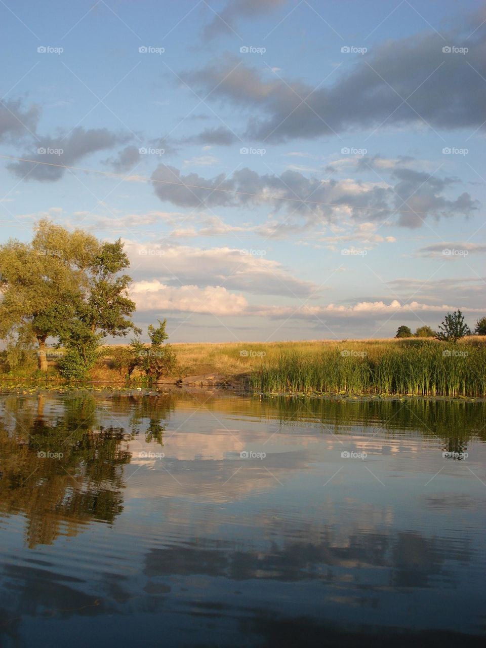 River landscape