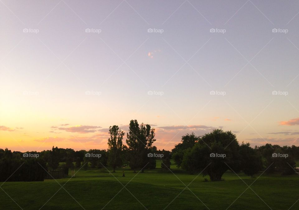 Sunset on the course. The. Golden Hour - golf course 