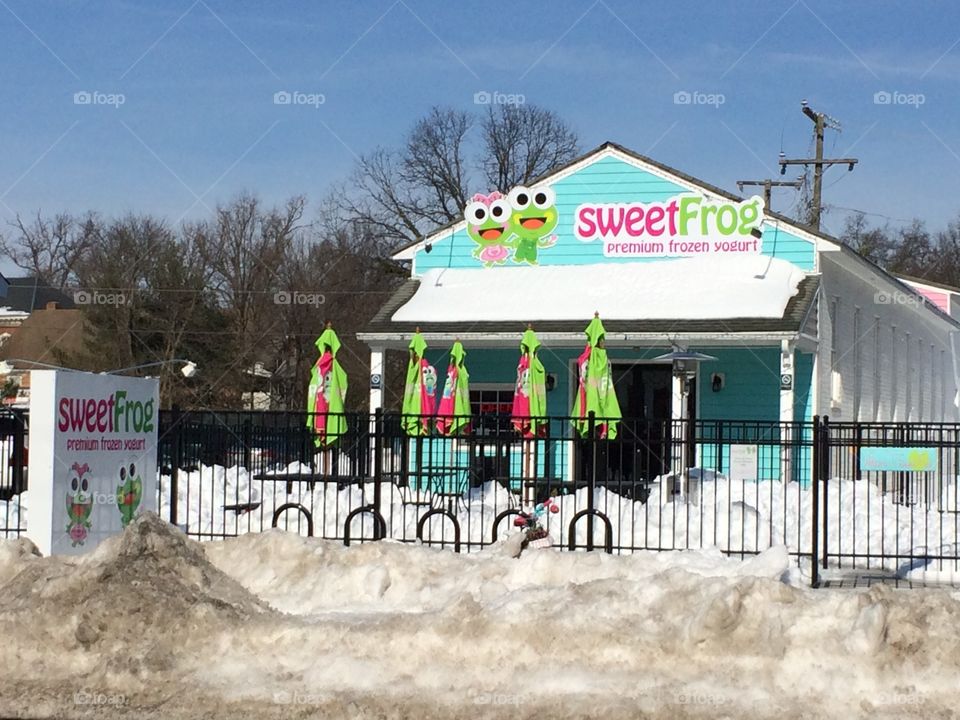 Sweetfrog 