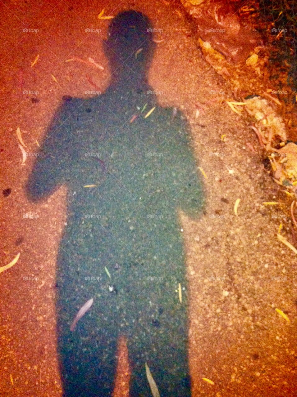 my shadow