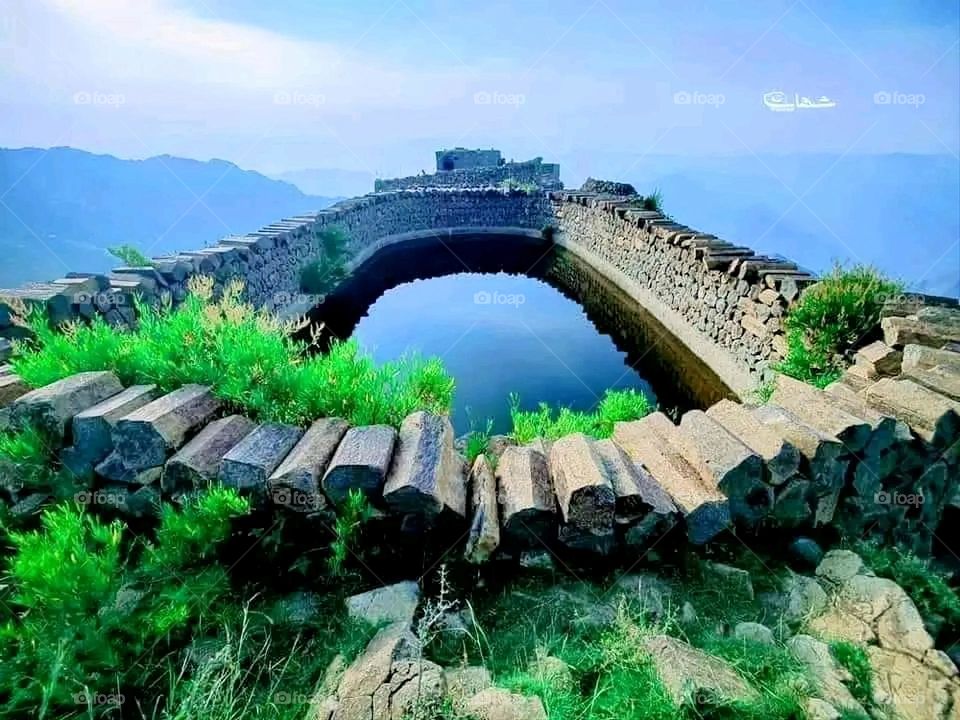 A very beautiful picture, and there is no better picture than it. There is no better picture of green herbs and colorful, red and white roses than it. Glory be to God, the natural and picturesque view, and there is no more