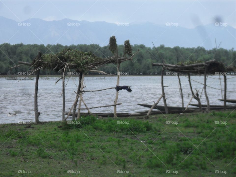 Water, No Person, Landscape, Travel, Tree