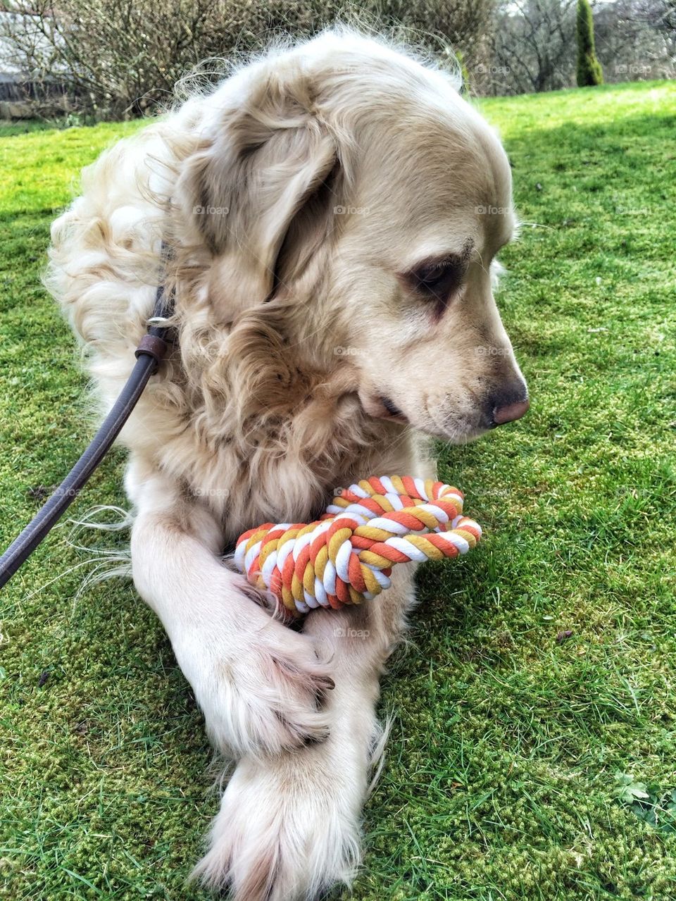 Nocas says It is mine