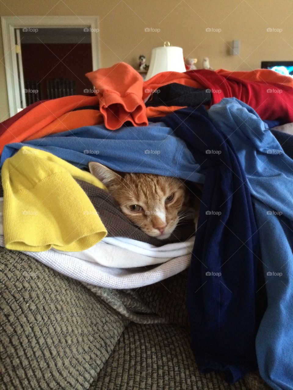 Hemi helps with the laundry