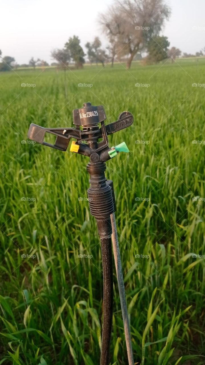 time to wake up and love that matters to you the most