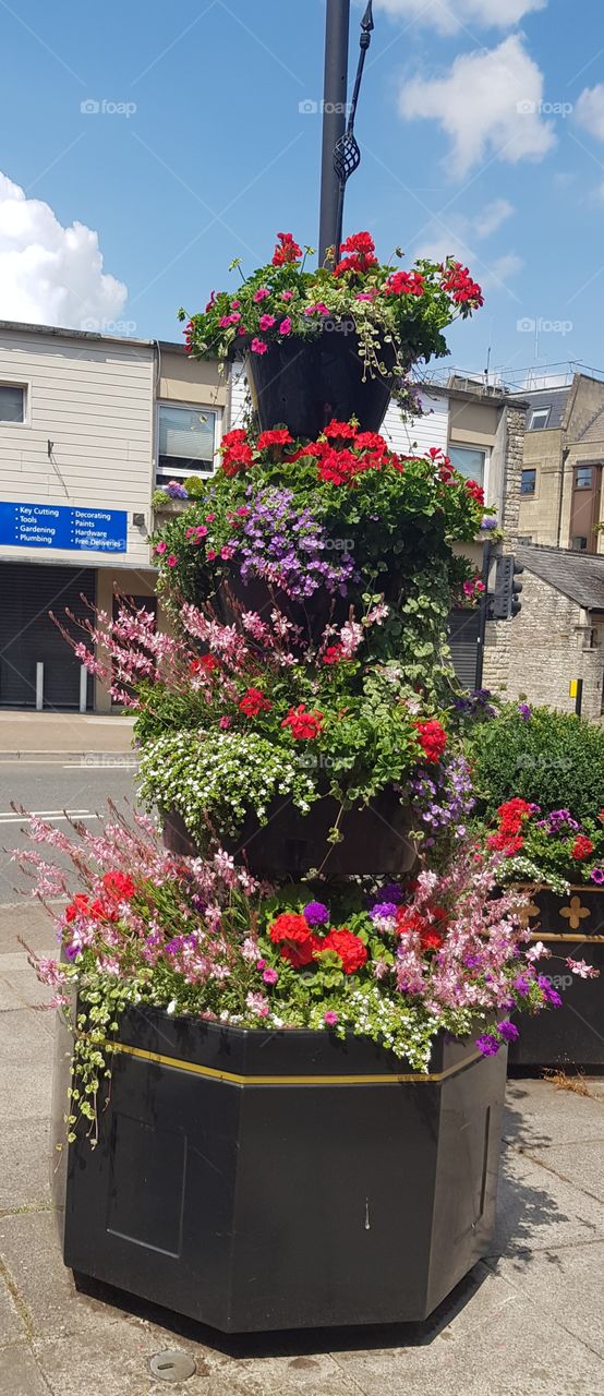 big colourful flower pot