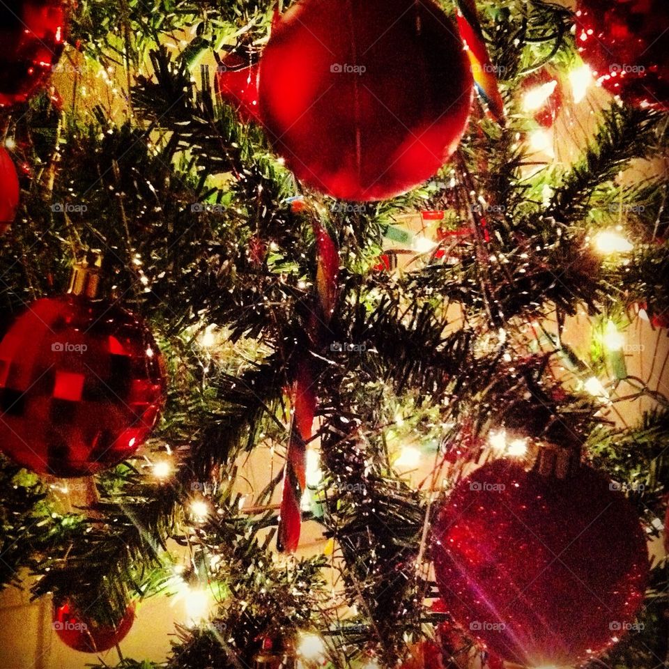 Inside of a Christmas Tree