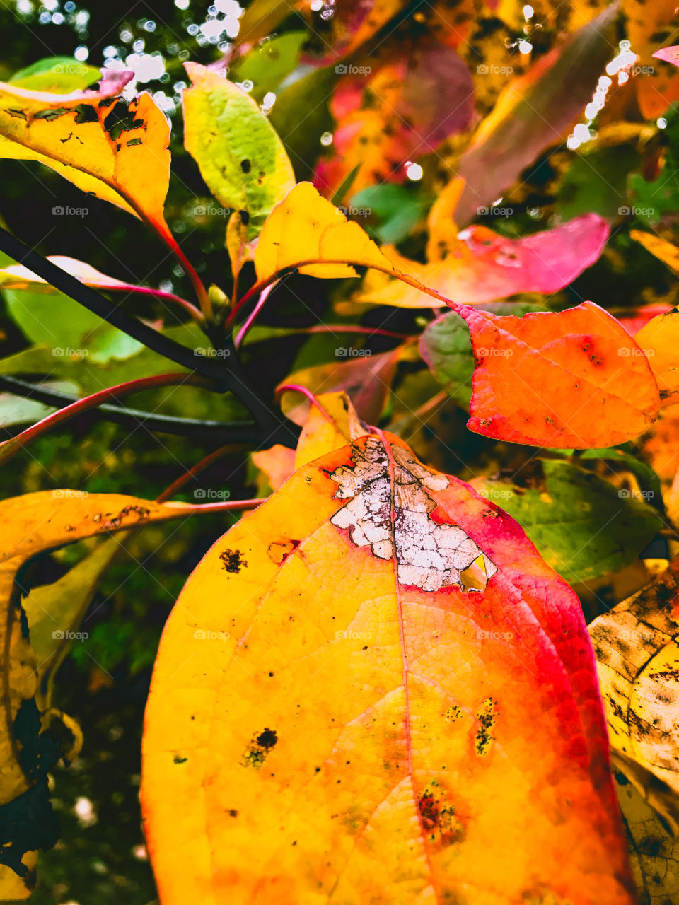 At The core of every one of us is a sense of adventure, a desire to see the world and all it has to offer. Life is as good as you make it, and life is also as amazing as your mindset. Nature connects us all - something much needed in these times.