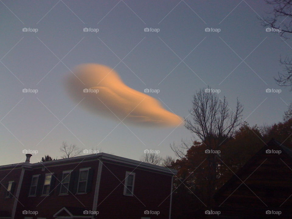 Blue Whale in the Sky