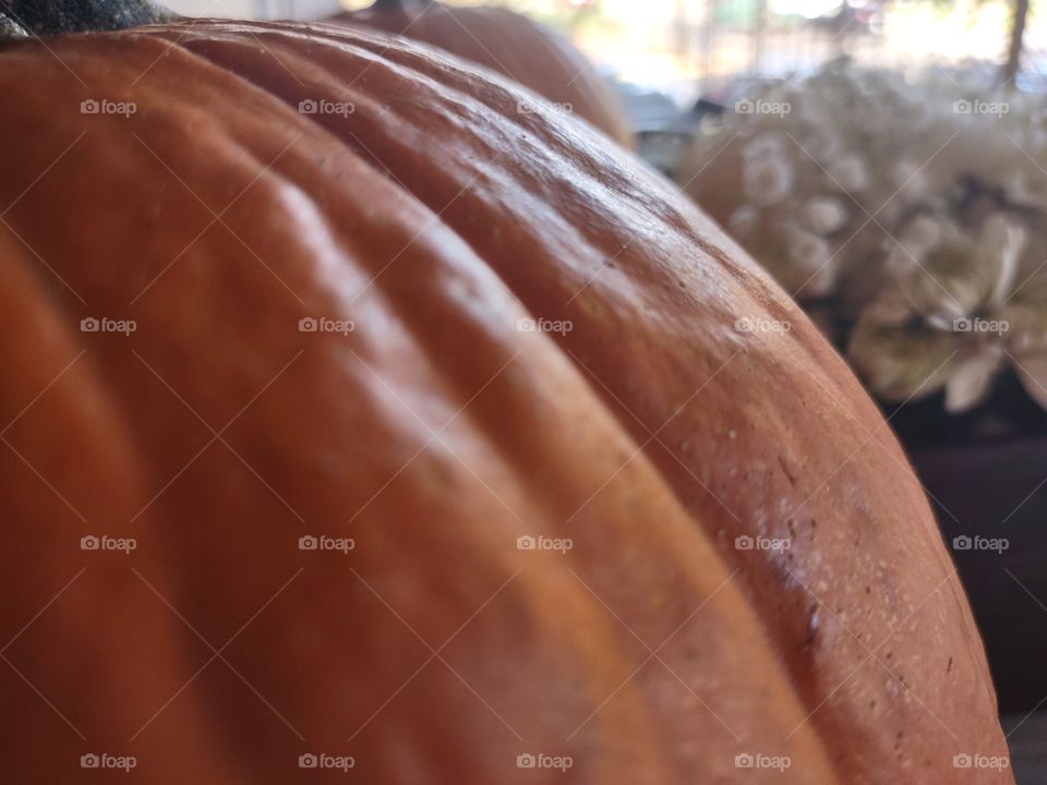 Pumpkin Close Up