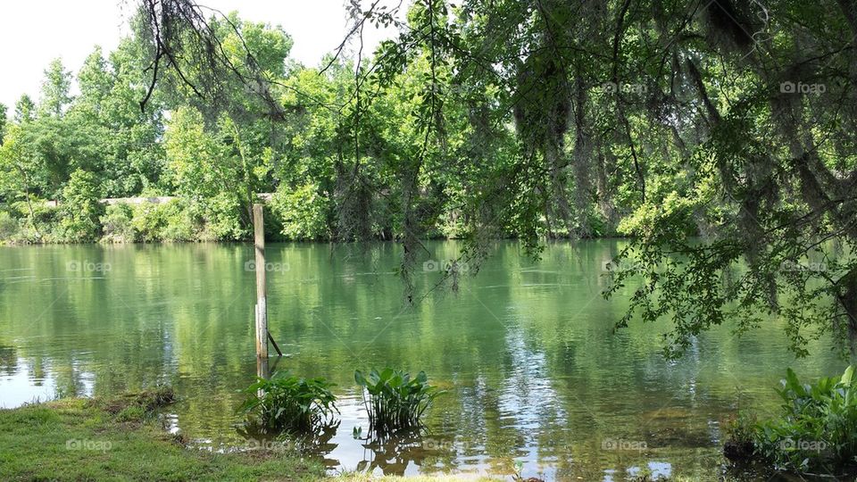 The Augusta Canal