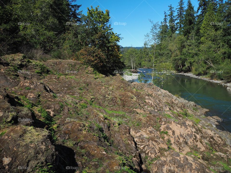 The rocky and rugged shores of the Middle Fork of the Willamette River near Oakridge Oregon filled with trees transitioning to their fall colors on a beautiful sunny day.