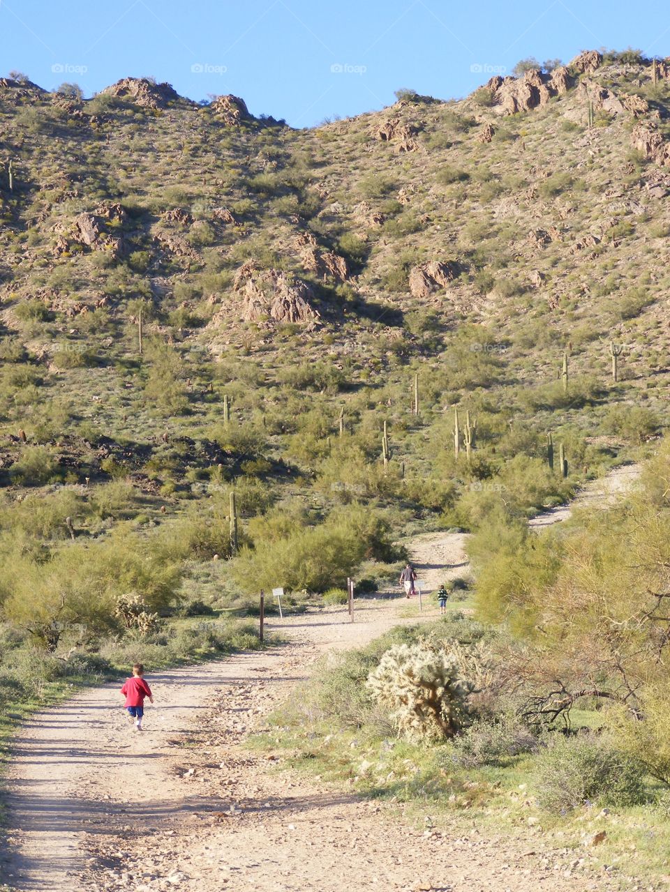 Trail up an Arizona desert mountain