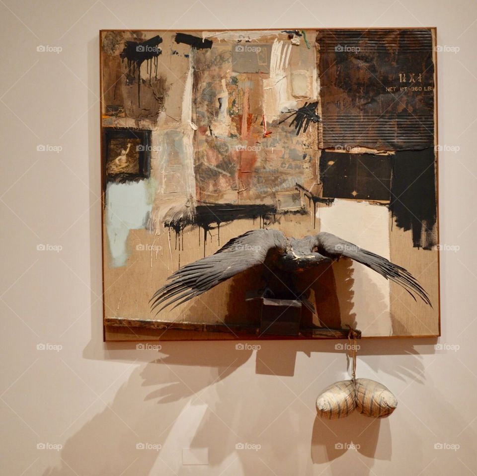 Display in the MoMA of the piece ‘Canyon’ 1959 by the artist Robert Rauschenberg which was one of his most celebrated works and controversial due to the attached stuffed eagle. 