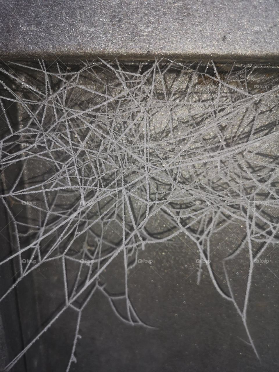 A frozen spiderweb