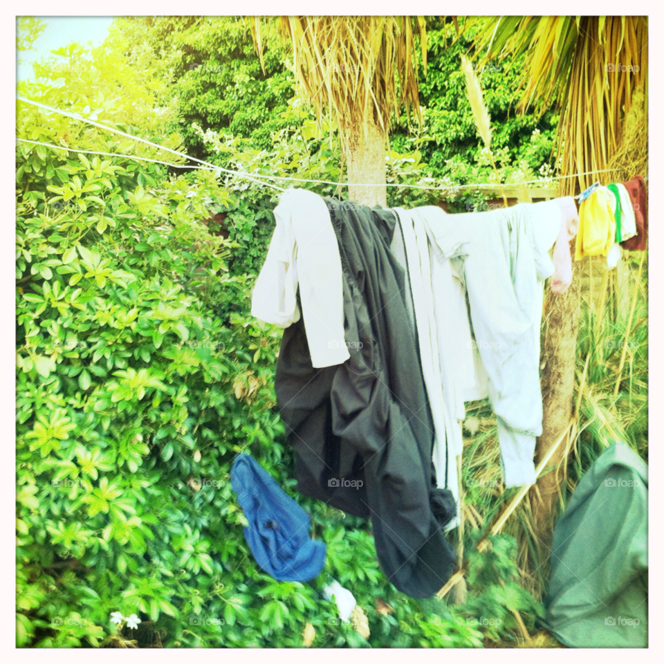 Nature, Outdoors, Hanging, Summer, Laundry