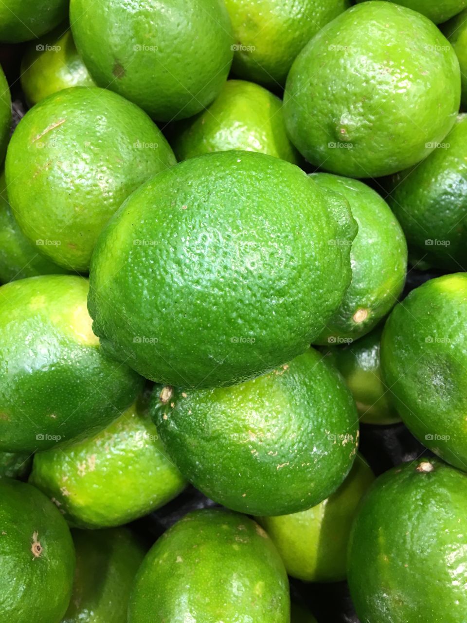 Limes 