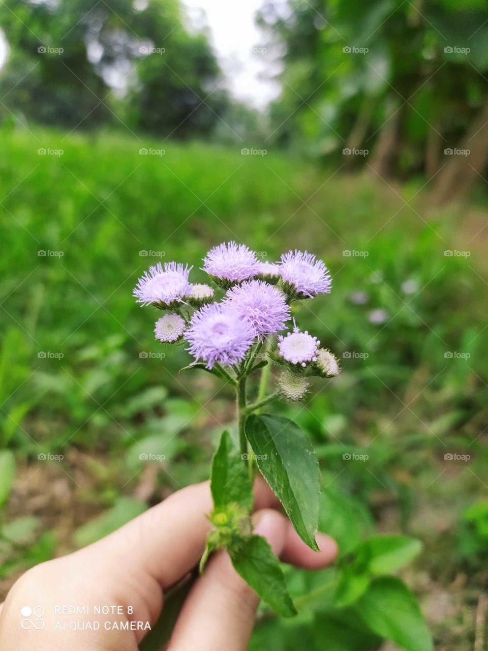 "Focus on What's Bright"