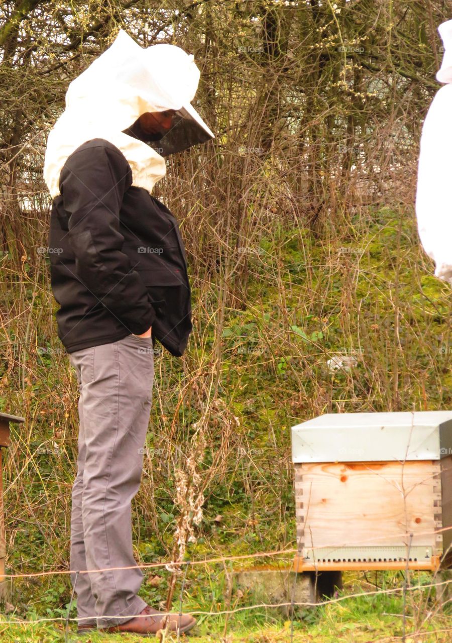 beekeeping