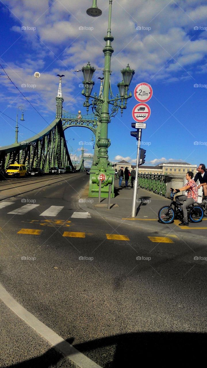 bridge on the danube