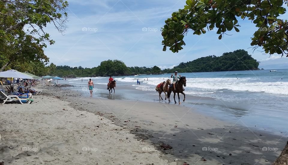 Beach, Water, Travel, Seashore, Sand