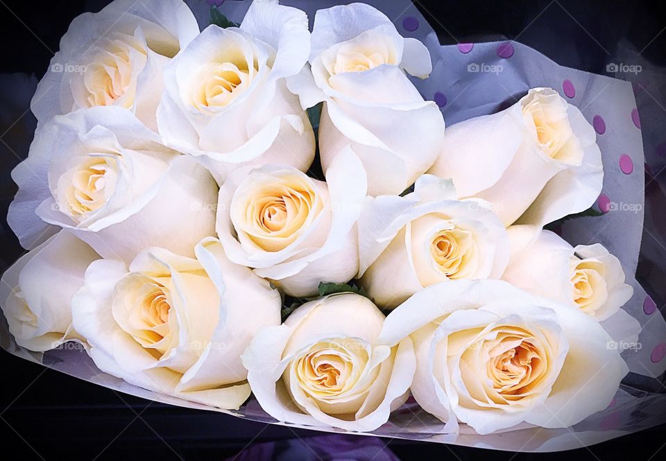 White roses
