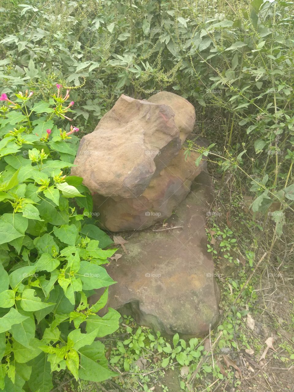 rocks from a place we called Rocky point there very beautiful and fit very well together