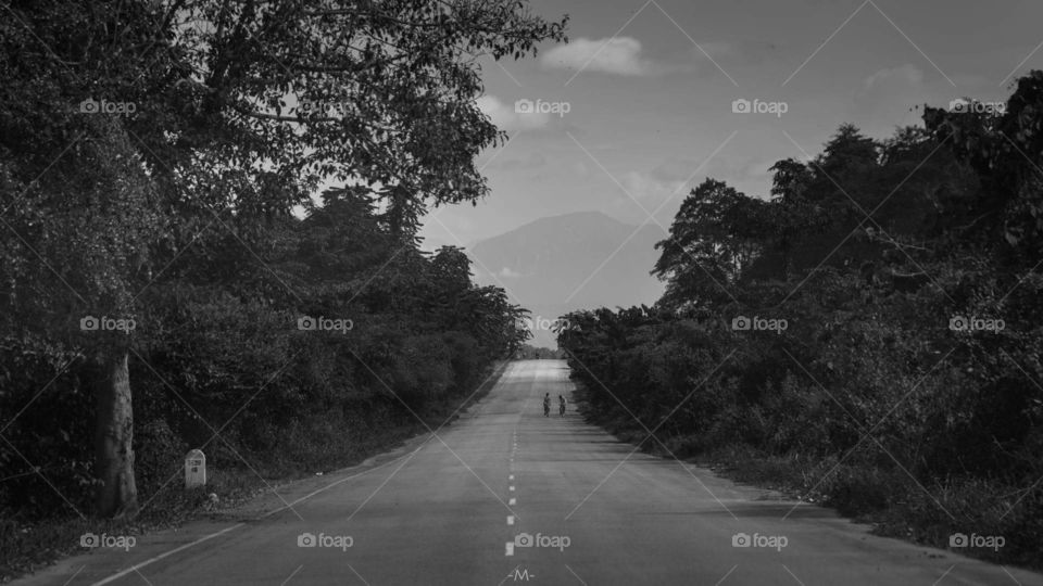 Roads landscape