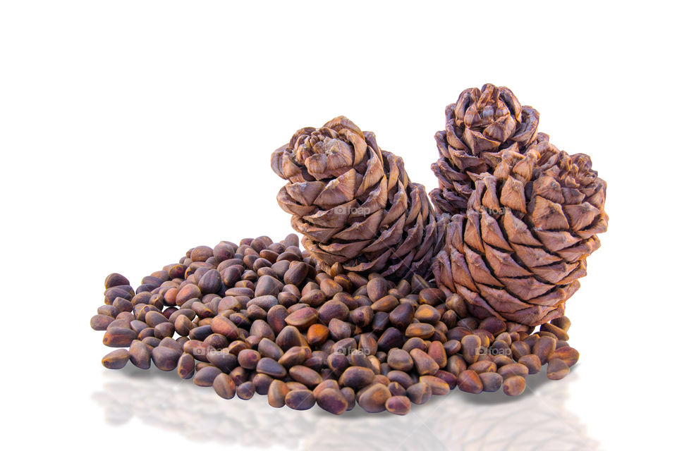 Siberian pine cones and seeds