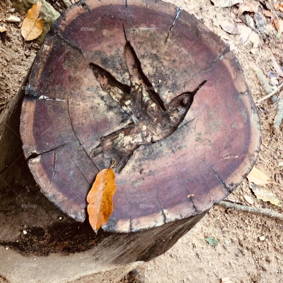 Wood art