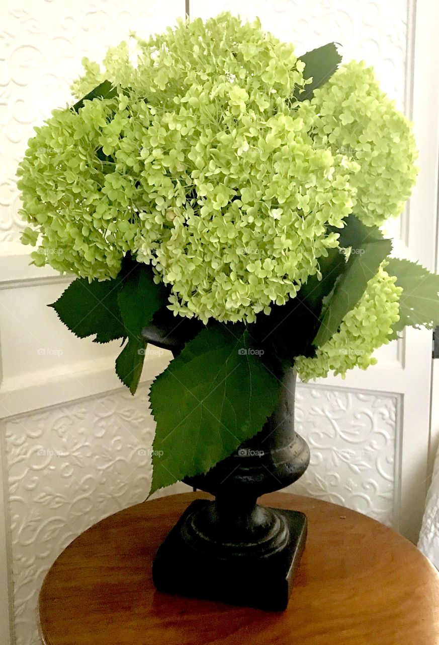 Annabel hydrangea bouquet 