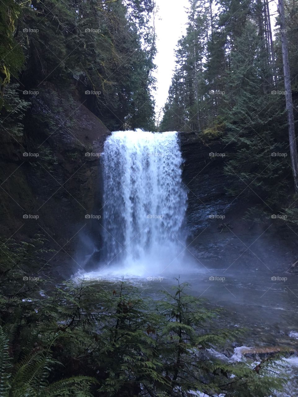 Waterfall outside Nanaimo, British Columbia, Canada. 
