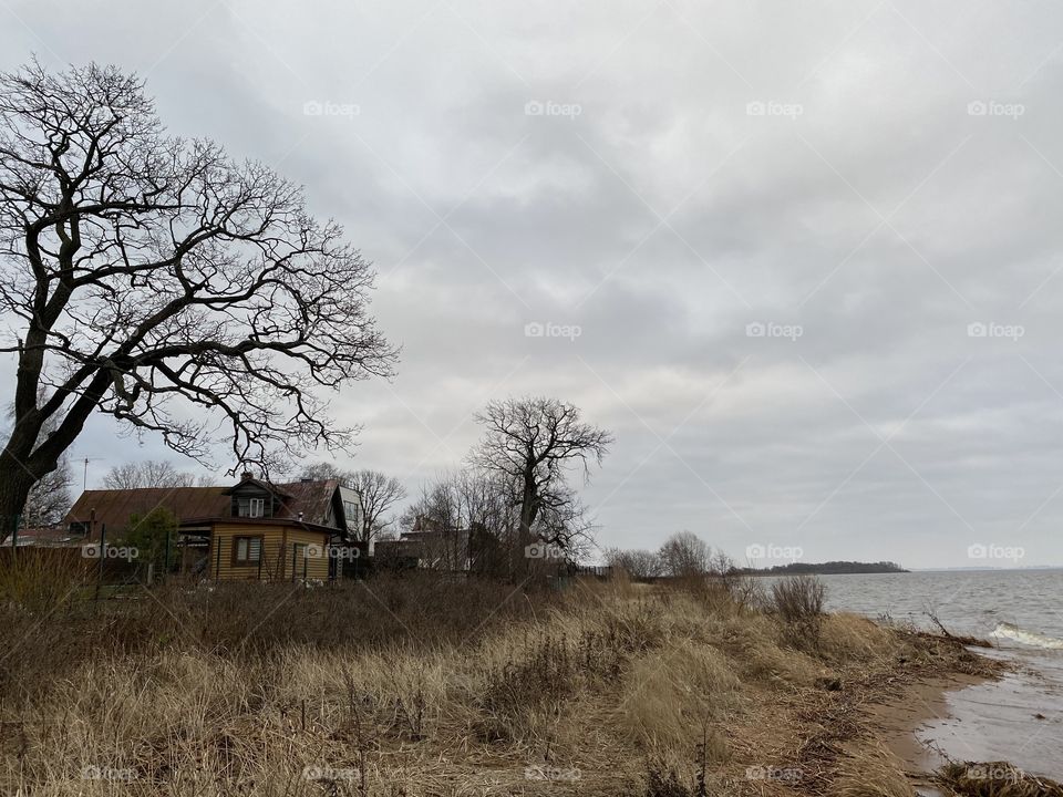 Minimalism of nature 