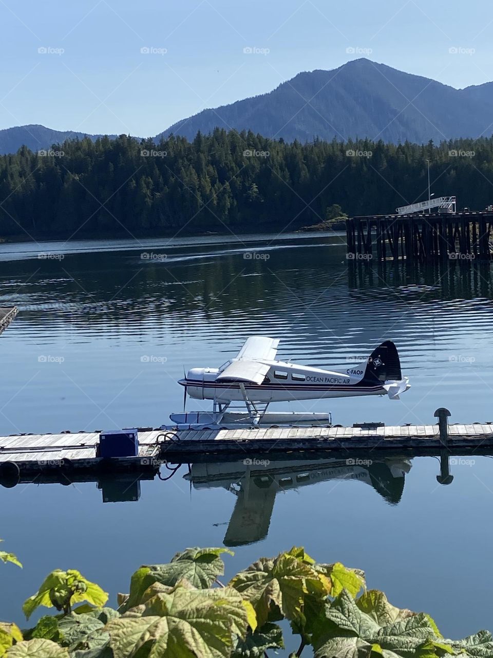 Seaplane in Alaska with forest and mountain.