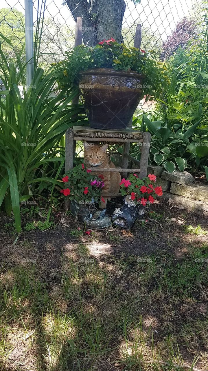 Max enjoying the great outdoors