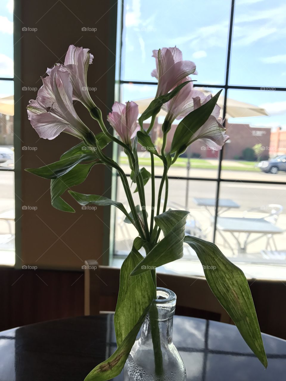 Flower in a bottle vase at my favorite restaurant