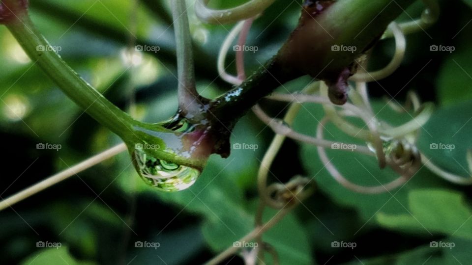 Water can always find a way to determine its own way