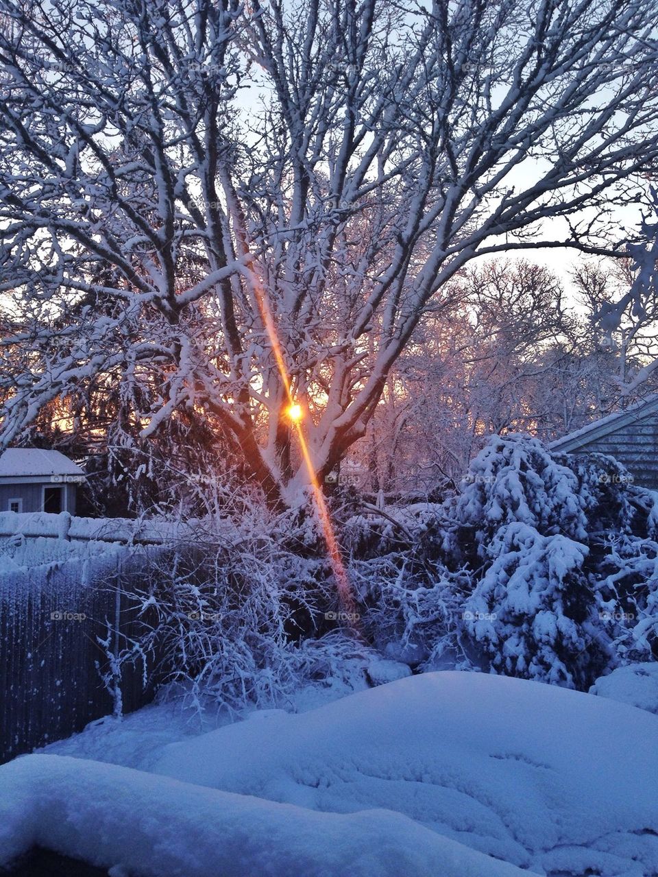 Sunrise on a snowy morning