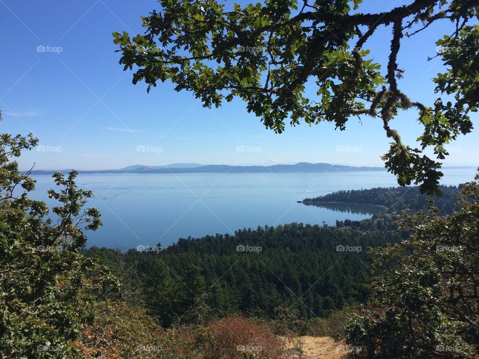 Mt Douglas. View on Cordova Bay from up