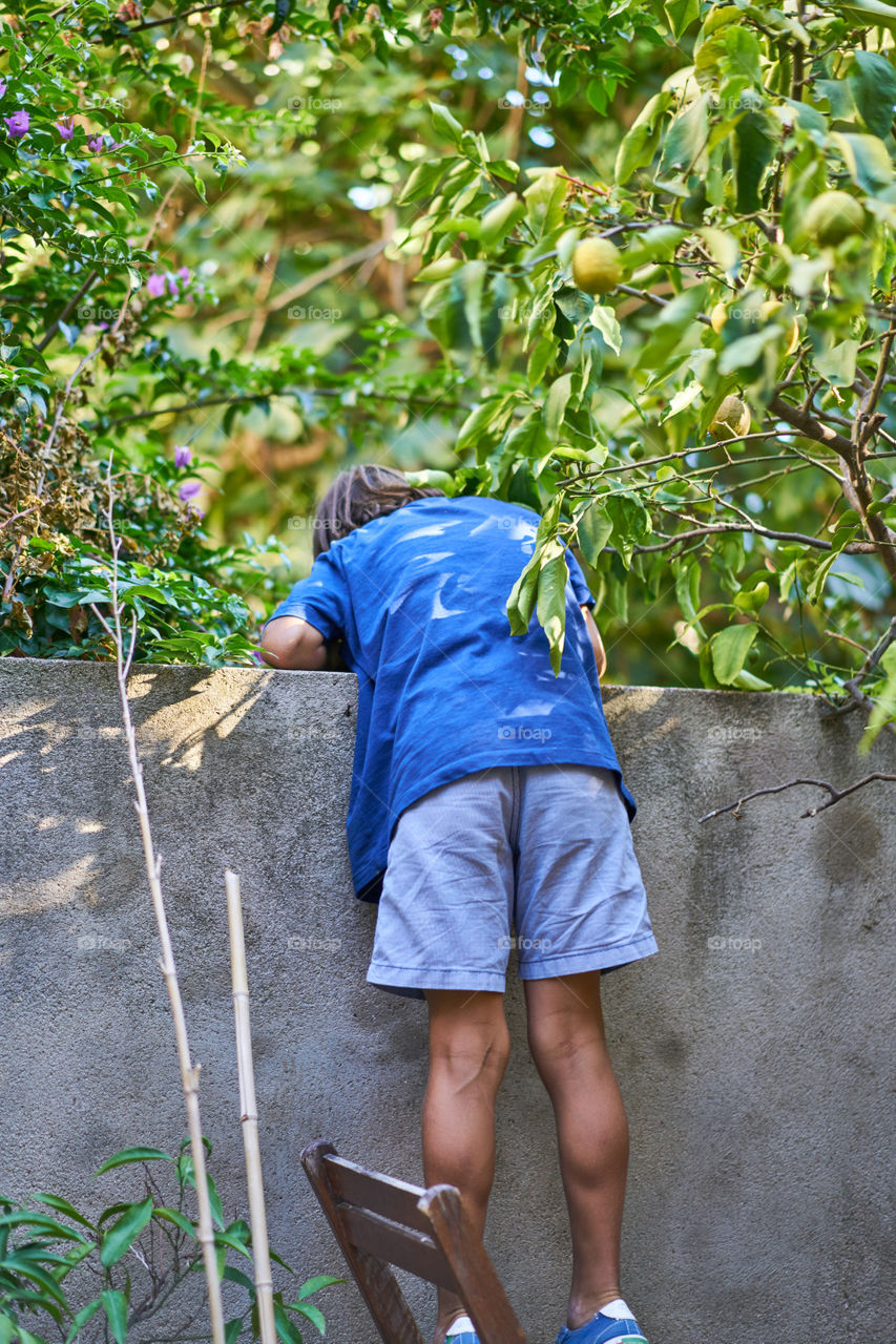 Buscando la pelota