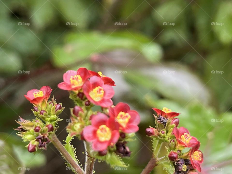 📸Battle : Summer 🌞vs. Spring 