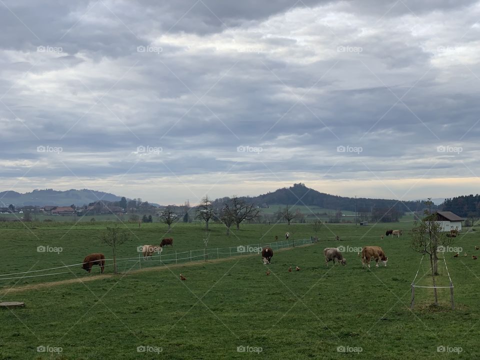A village in the Swiss country