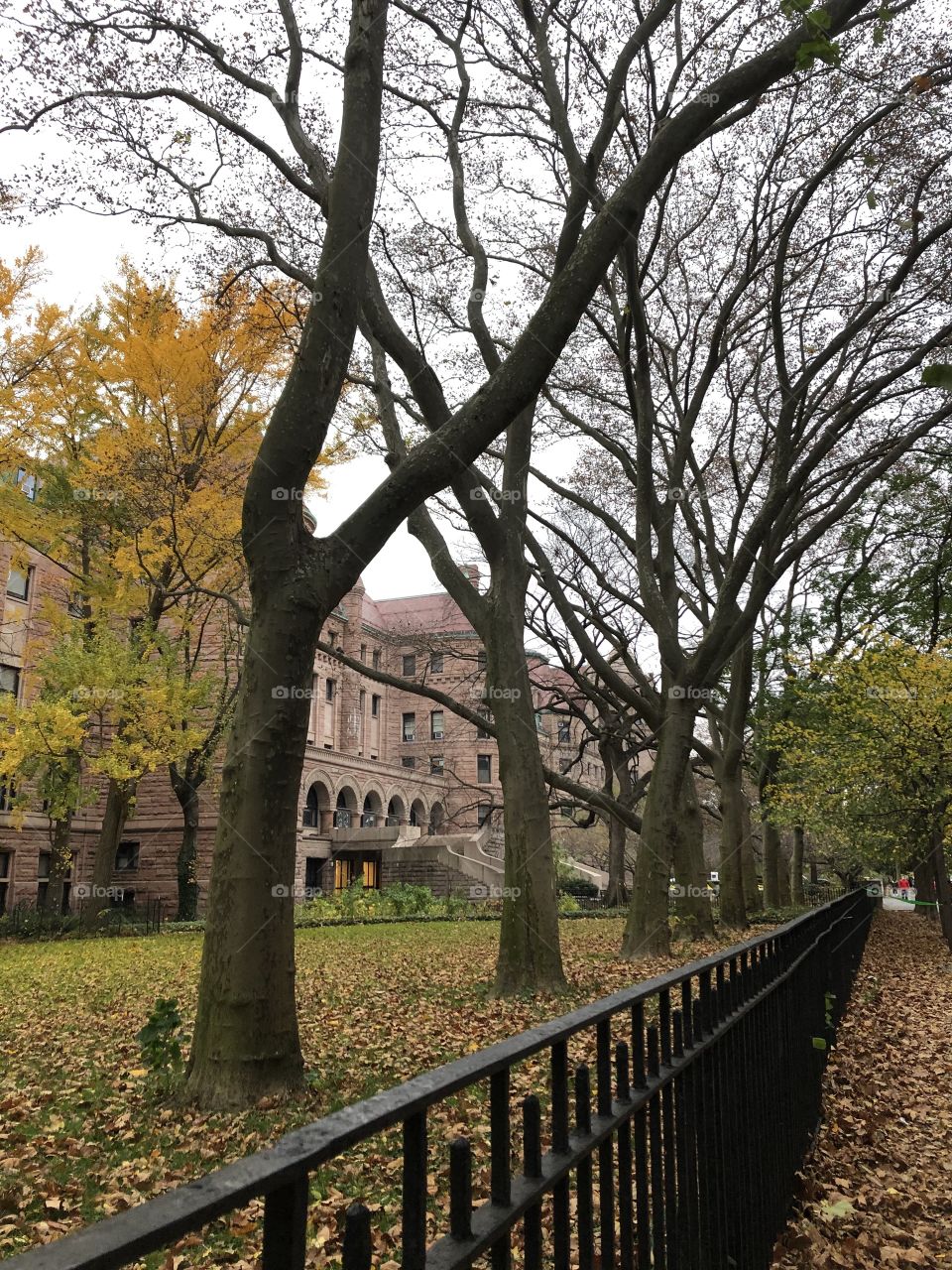 Autumn in NY