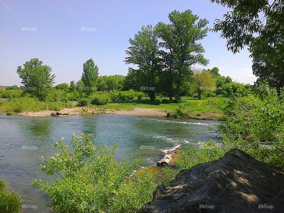 Timok river