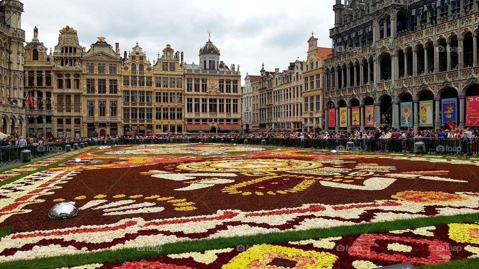 A carpet of flowers in the Grand Place, Brussels, Belgium