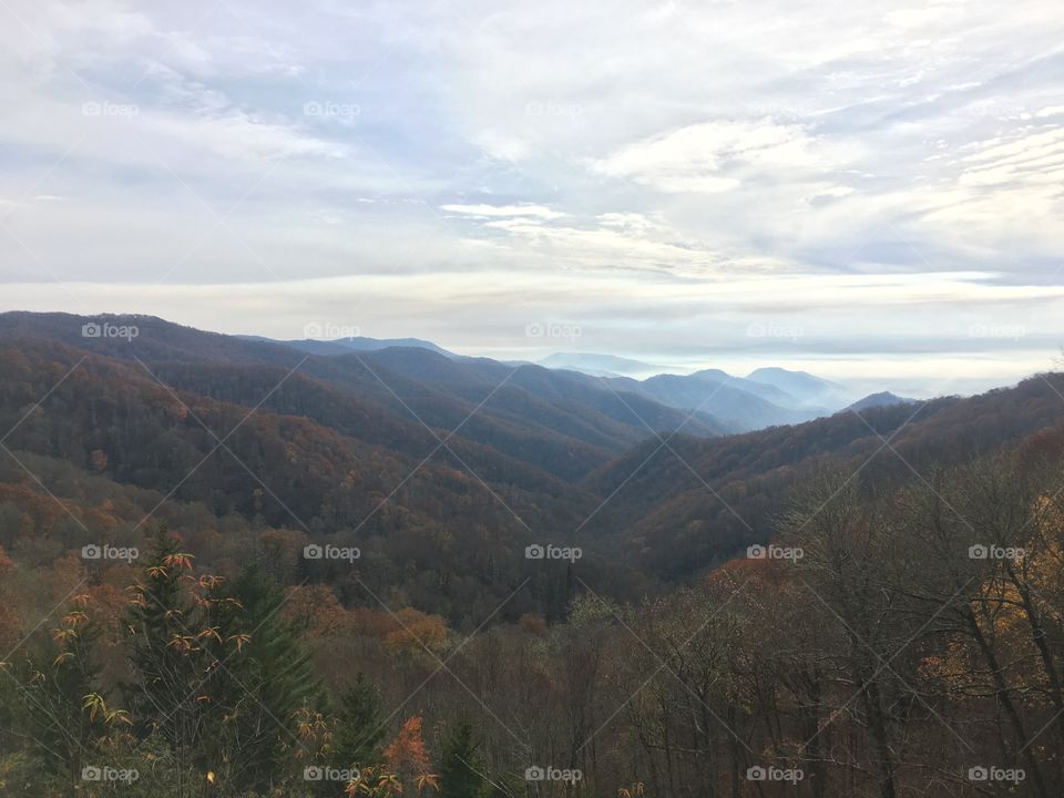 Landscape, Mountain, Tree, Fog, Nature