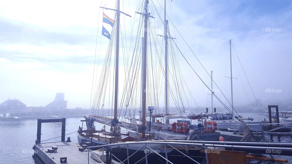 a very foggy morning before our sailing trip in the Provincetown harbor