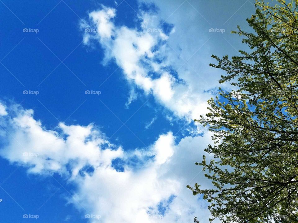 Driving the Back Roads and enjoying everything around us